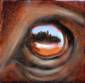 'Industrial-eyes', 2017. Oil on canvas, 15 x 15cm. Private collection.