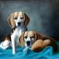 'Bernadette and Marcus', 2020. Oil on canvas, 50 x 60cm. Private collection.