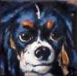 'King Charles study after Landseer (1802-1873), 2017. Oil on canvas, 15 x 15cm. Private collection.