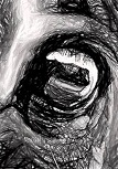 'Eye study', 2016. Charcoal on paper, 80 x 55 cm. Private collection.