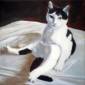 'Indi' 2017. Oil on canvas, 15 x 15cm. Private collection.