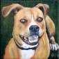 'Sheara' 2017. Oil on canvas, 15 x 15cm. Private collection.