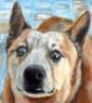 'Wally', 2018. Oil on canvas, 22.5 x 22cm. Private collection.